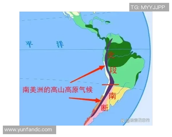 玻利维亚与巴西足球对决谁才是南美强队的王者之争